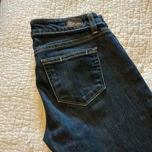 Paige Canyon Bermuda short size 26